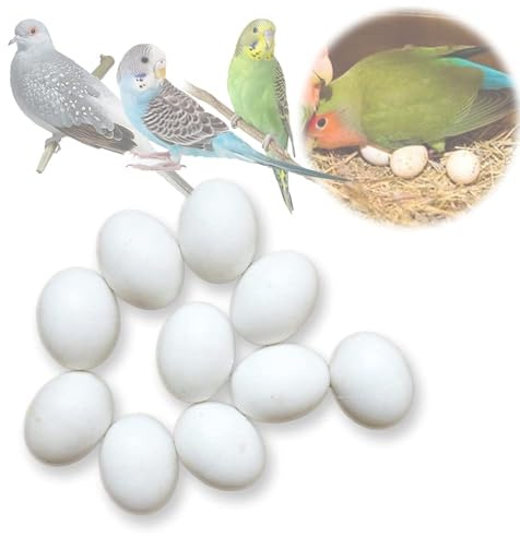 MESINURS Solid Plastic Eggs - Parrot Bird Hatching Replacing Eggs for Guiding Birds to Stop Laying, 10 PCS (M)
