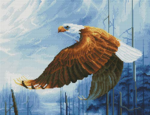 Abillyn Stickerei-Set, Kreuzstich, Adler, geprägt mit gedrucktem Muster, Starter-Set (Eagle)