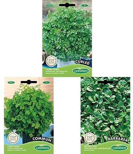 Germisem Curled Graines de Cerfeuil+Cerfeuil COMMUM+Cresson vivace de jardin