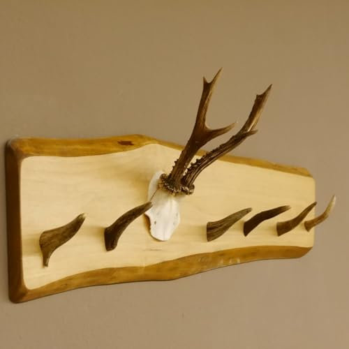 GTK - Geweihe & Trophäen KRUMHOLZ Geweih Garderobe mit 6 Haken aus Hirschspitzen auf Holzbrett Rehgeweih Wandgarderobe Unikat 27.8.99