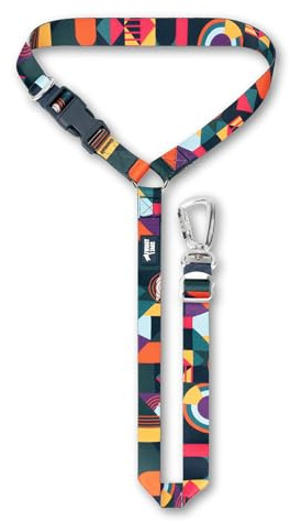 Twiggy Tags Headrest Seat Belt | Strong Dog Over-Headrest Seat Belt | Locking Carabiner, Durable | Suitable For All Dog Breeds & Vehicles | Universal One Size Fits All | Multi-Colour Aurora