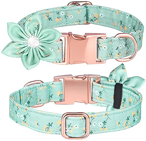 Tybiky Hundhalsband med rosett, söta hundhalsband lämplig gåva för små/medelstora/stora hundar och katter, bekväm justerbar krage med hundkoppel, S, blomblad ljusblå