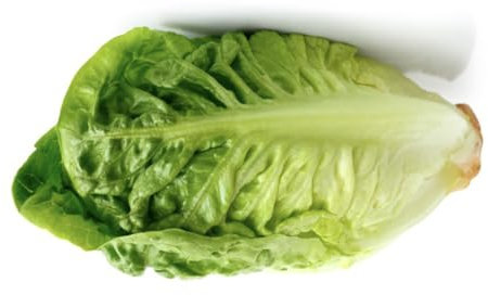 Vegetable Seeds for Planting UK, Variety Pack Varieties of Veg, Herb Grow Your Own. Easy to Grow Indoor, Outdoor Non-GMO (Lettuce Little Gem 500 Seeds)