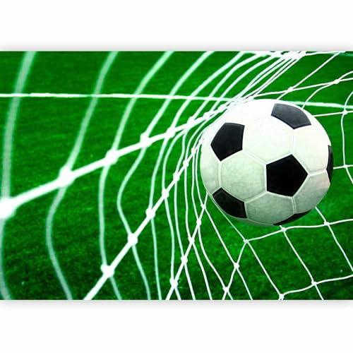 murando Fotomurales autoadhesivo Estadio de fútbol 196x140 cm Papel Pintado | Decoración de Pared Murales Pegatina decorativos adhesivos 3d moderna de Diseno Fotográfico Ninos Verde