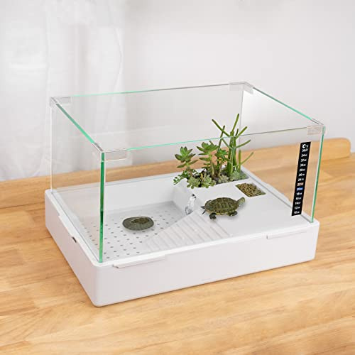 BETAZOOER Schildkrötenbecken mit einstellbarem Wasserpumpenfilter, Vollansicht, Schildkrötenaquarium, Glasmaterial, leicht zu wechseln und zu reinigen für kleine Kreaturen