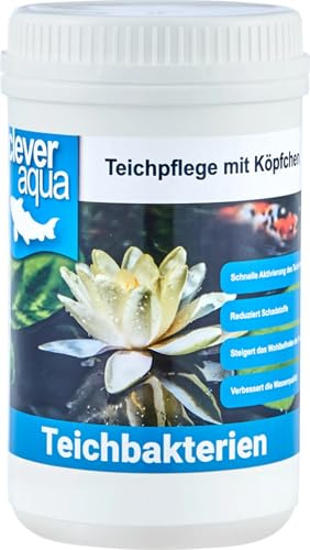 CleverAqua Teichbakterien 1.000ml hochkonzentrierte Filterbakterien Mikroorganismen & Enzyme für effektive Filterwirkung im Teich Koiteich Schwimmteich