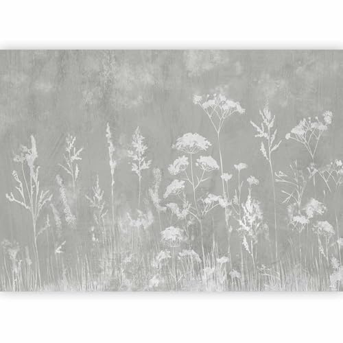 murando Fotomurales Flores 500x350 cm XXL Papel pintado tejido no tejido Decoración de Pared decorativos Murales moderna de Diseno Fotográfico Dientes de león Pradera Botánica b-A-10047-a-a