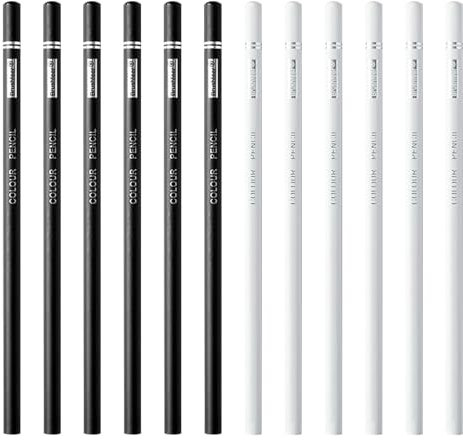 Domicubes 12 Piezas lápices Blancos, Lápices Dibujo Profesional Lápiz de Carbón Blanco y Negro Resaltado Lápices de Dibujo para Dibujar Sombrear Mezclar Retratar Ideal para Principiantes y Artistas