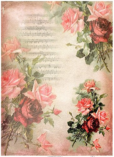 Reispapier A4 - Red rose with score. Motiv-Strohseide, Strohseidenpapier, Decoupage Papier