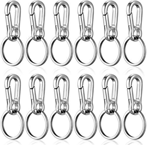 benlidoner 12 Stück Metall Karabiner Schlüsselanhänger Zinklegierung Schlüsselringe mit Karabiner Karabinerhaken Schnellverschluss Keychain Robuster Autoschlüsselhalter für Herren und Damen