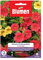 SEMI PETUNIA HYBRIDA PENDULA MIX BLUMEN