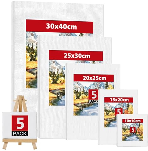 Set de 5 lienzos para pintar 100% Algodón, Lienzo Blanco 30x40, 25x30, 20x25, 15x20, 10x10 cm Canvas para Pintar para Niños, Artistas Aficionados a la Pintura al Óleo y Acrílico, Principiantes