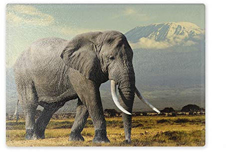 Schneidebrett/Glasschneidebrett 20x28x0,4cm - Motiv: Elefant in Kenia | 01