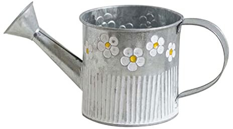 CHFYIJYHM Regadera de Lata de Metal Vintage, Cubo, Maceta for Plantas, jarrones for Mesa, contenedor, regadera con asa, decoración for el hogar y el jardín, 1 Uds.