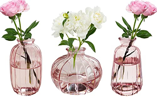 3pcs Vasi vetro decorativi, Piccolo vaso per la decorazione da tavolo per fiori, da Centro Tavolo Matrimonio, battesimo, compleanno, regali per la festa, Rosa