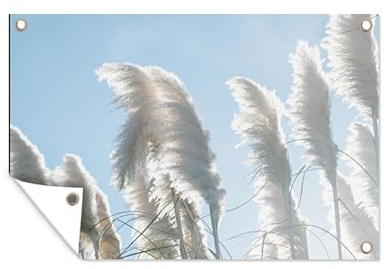 MuchoWow Poster exterieur Ciel - Herbe - Herbe de la pampa Decoration murale 120x80 cm Résistant aux intempéries/soleil