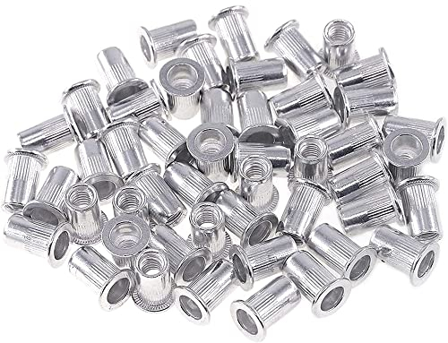 JOELEW Nietmuttern 100 Stück M3 M4 M5 M6 M8 M10 Aluminiumlegierung Flachkopf Gewinde Nieteinsatz Mutter Kappe Nietmutter Tasche Einpressmuttern