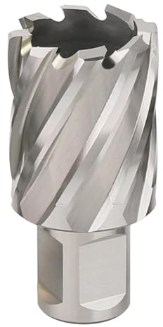 HEDA 12–60 mm HSS-Kernbohrer mit 19 Weldon-Schaft for Hohllochsäge for Schneiden von Metall (Stahl, Aluminium, Kupfer)(12mmX25mm)