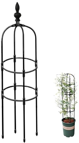Ginwrek Obelisco da giardino, obelisco da 119 cm, per piante rampicanti, antiruggine, facile da installare, supporto per piante rampicanti