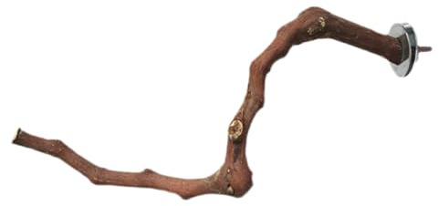 Grape Wood Bird Perch - 23-30cm Length Natural Grapevine Standing Stick, Unique Real Wood Branch Toy For Parrot Cages, Secure Rest Shelter For Cockatiels Parakeets Finches For Bird Lovers