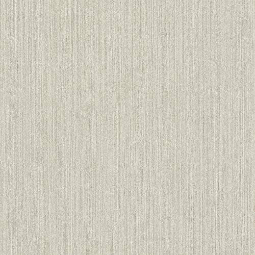 BRICOFLOR Papier peint intissé | Papier peint uni - Papier peint salle de bain, Papier peint WC - Gris | Taille 10,05 x 0,53 m = 5.33 m² BR371791P489ETN