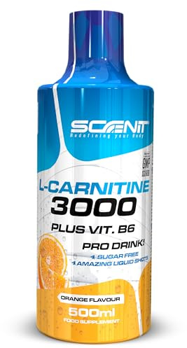 L Carnitine 3000 - L Carnitine - L-Carnitine - L Carnitine Liquide - Carnitine Liquide - LCarnitine - Carnitine Pure - L-Carnitine Liquide - 500 ml (Orange)