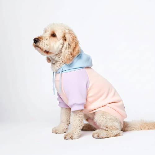 Spark Paws Hunde-Kapuzenpullover – Premium-Qualität, butterweich, hervorragender Komfort und Passform, beruhigende Fleece-Innenseite, geeignet für alle Rassen - Cotton Candy - M