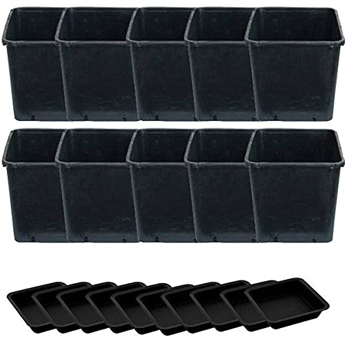 Idroponica Vaso quadro 14L + Sottovaso - 28x25x28cm