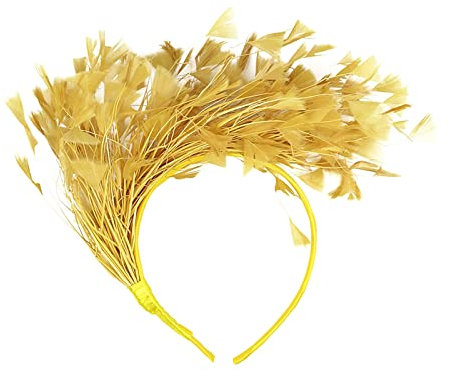 Generisch Papagei Haarreif, Haarreif Karneval, Fascinator Stirnbänder Cosplay, Haarreifen Damen, Regenbogen Haarreif, Federn Haarreif Papagei Kostüm Haarband Kopfschmuck Fascinator Stirnbänder