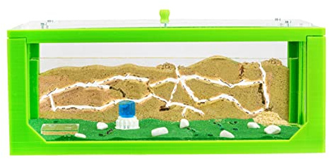 AntHouse - Natürliche Ameisenfarm aus Sand | 3D Grün Big Starter Set 30x15x10 cm | Inklusive Ameisenkolonie