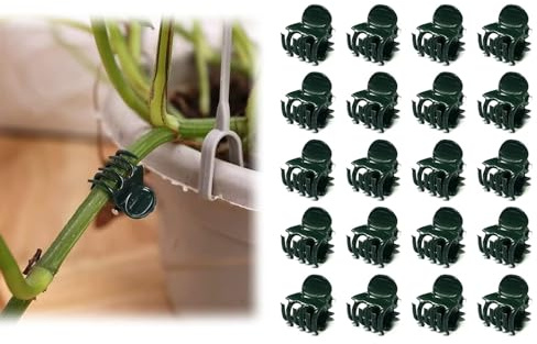 Lot de 20 clips muraux pour plantes grimpantes, clips pour plantes grimpantes, clips pour orchidée noirs, clips de support pour plantes de jardin, supports pour tiges de plantes