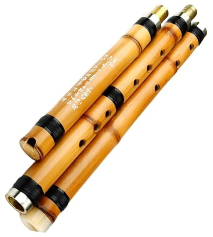 Bambusflöte Xiao, Trennbar, 3 Abschnitte, Chinesisches Traditionelles Handgefertigtes Holzblasinstrument Xiao (Color : F)