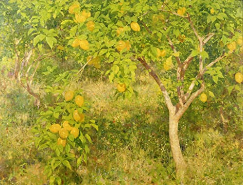 MNMSBFXQ Berühmtes Gemälde Leinwand Bilder Kunstdrucke Leinwand Plakat Der zitronenbaum von henrytuke Bilder Deko Kunstwerkfür Wohnzimmer 60x90cm