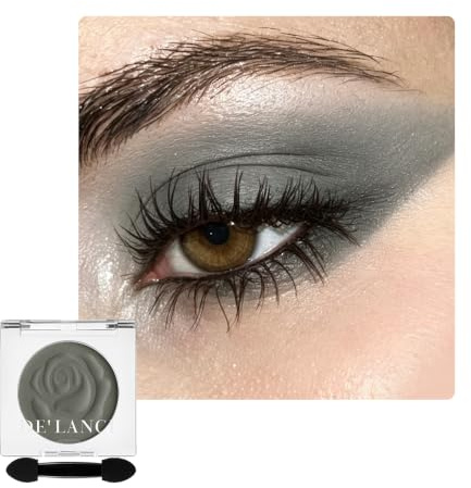 DE'LANCI Single Dunkelgrau Lidschatten Palette,Grau Matte Lidschatten Makeup, Grau Eyeshadow Wasserfester Gut Pigmentiert Langlebig, Grundlegender Grey Eyeshadow für Wasteland Punk Goth, Vegan #04