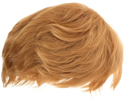 Toyvian -Perücke Goldene Präsidentenperücke Kurzes Glattes Haar Für Herren Halloween-Kostüm-Requisite