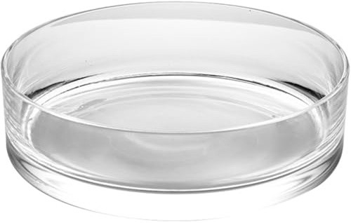 OSALADI Vase Cylindrique en Verre Solide Grand Pot de Fleur Hydroponique Transparent 20X20 pour Salon et Plantes Aquatiques