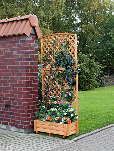 Beauty.Scouts Rankkasten Pflanzenkasten Jolie II Kasten honigbraun wetterfest 91x41x205cm Blumenkasten Pflanzkasten Blumenrankkasten Pflanzenrankkasten braun