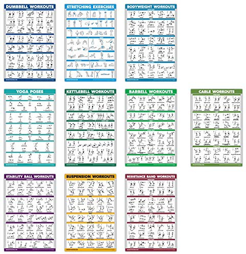 10er-Pack Trainingsposter-Set, Kabelmaschine, Hanteln, Suspensionstraining, Kettlebells, Widerstandsbänder, Dehnübungen, Körpergewichtstraining, Langhantel, Yoga, Übungsball (laminiert, 45,7 x 61 cm)