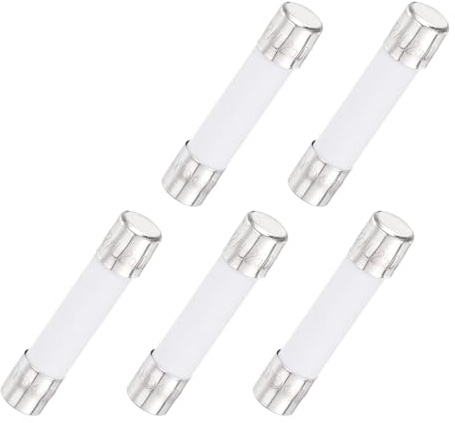 QUARKZMAN 5Pcs Fusibile Temporizzato Ceramico Tubolare 6mm x 30mm 250V 12A Fusibile Lento Per Riparazione Circuiti Stampati, Apparecchiature Di Illuminazione, Strumentazione.