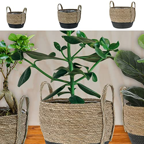Cepewa Lot de 3 paniers à plantes - Incrustation en film plastique - Herbe de mer - Cache-pots - Lot de 3 paniers à plantes (1 lot de 3 corbeilles à plantes d'herbe de quenouille)