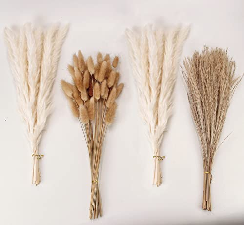 Decorazione di erba di Pampas essiccata, 100 pezzi di erba di Pampas contiene fiori secchi di Bunny Tails, bouquet di erba di canna per decorazioni da tavolo in stile Boho per matrimonio a casa 30