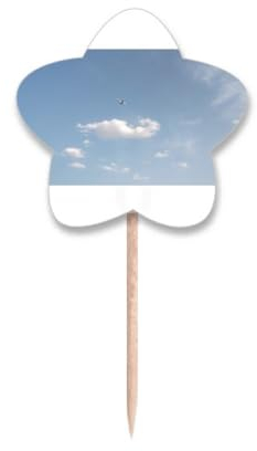 Cloud Air Plane Art Deco - Palillos de dientes con diseño de estrella, palillos para cupcakes