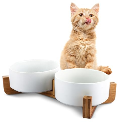 LDXDRU Dog Bowls Ceramic, 850ml / 30oz Double Feeding Bowl, Food Water Bowl for Medium Dogs and Cats - 2pcs Bowls & 1pcs Stand