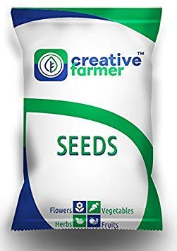 Flower Seeds: Nasturtium Perennial Herbaceous Seeds Winter Kitchen Garden Hybrid Seeds Garden [Home Garden Seeds Eco Pack] Plant Seeds by
