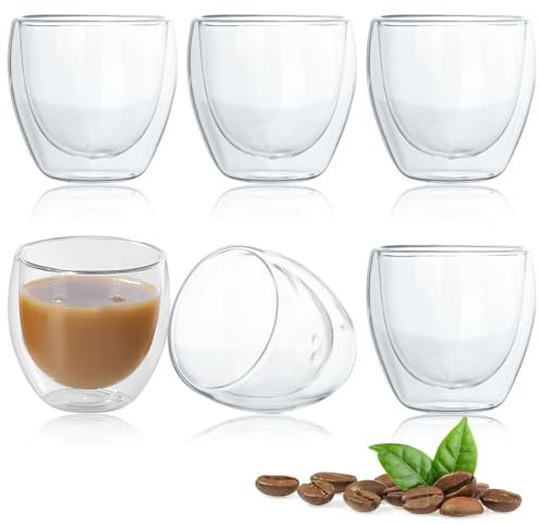 TNSLAND Set di 6 Tazzine Caffe da Caffè Doppia Parete Bicchieri da Caffè Espresso, Tazze da Moka in Vetro Borosilicato Vetri Termici Resistenti Al Calore Con Effetto Flottante Bicchieri da (6, 250ml)