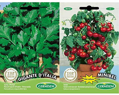 Germisem Gigante D'Italia Semi di Prezzemolo 10 g & Minibel Semi di Pomodoro 0.5 g