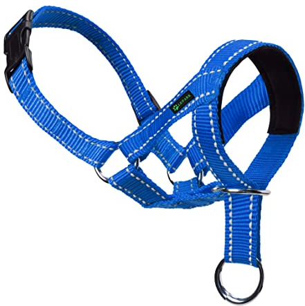 ILEPARK Hundehalfter fürs Training - buntes Kopfgeschirr für Hunde, um das Ziehen zu stoppen - verstellbares und leicht zu bedienender Kopfhalfter (L,Blau)