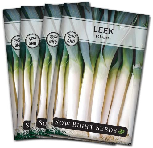 Sow Right Seeds - Giant Leek Seeds for Planting - Non-GMO Heirloom Packet with Instructions to Plant and Grow an Outdoor Home Vegetable Garden - Large Green Chive Onion - Cook Asian Cuisine (4)