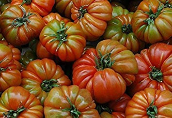 10 Varietà Semi RAF di Pomodoro Tamano Grande: Graines