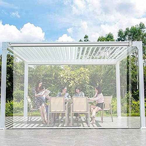 Estores enrollables impermeables para ventanas y puertas al aire libre, pantalla de partición de plástico, pérgola, panel lateral, lona impermeable para cenador de jardín, transparente, 80 x 160 cm